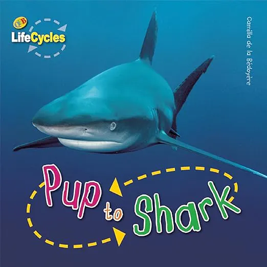 Pup To Shark