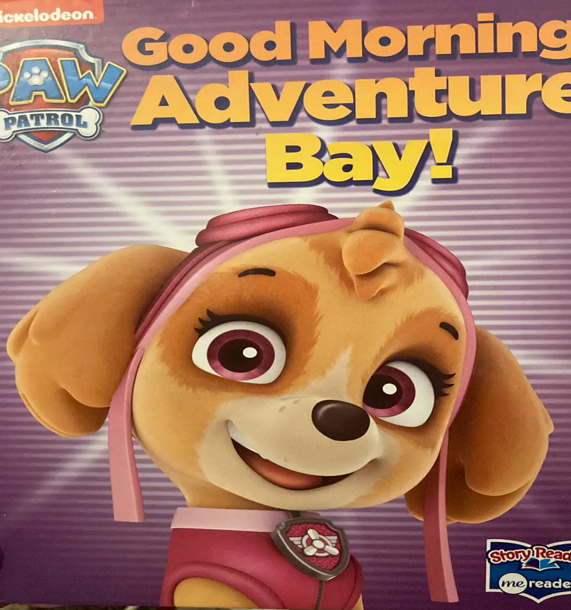 Paw Patrol: Good Morning Adventure Bay!