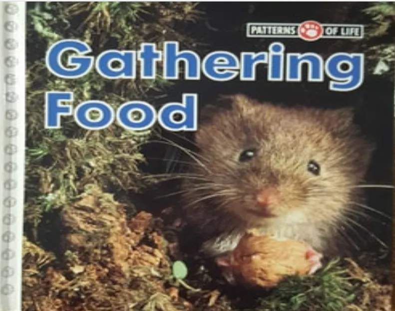 Gathering Food