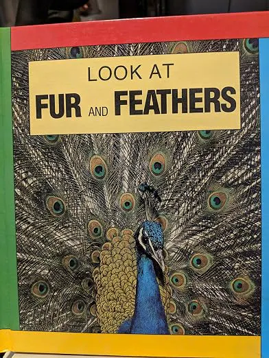 Look At Fur And Feathers