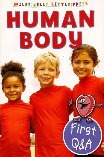 First Q&A Human Body