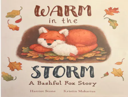 Cover of Warm In The Storm
