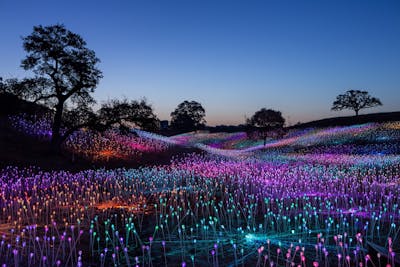 Field of Light at Sensorio, by Beth Coller for The New York Times
