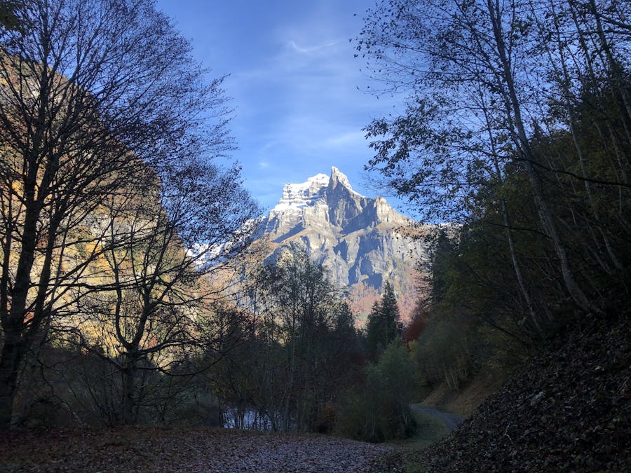 A mountain in the distance.