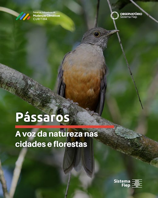 Créditos: Joel Santana/Pixabay