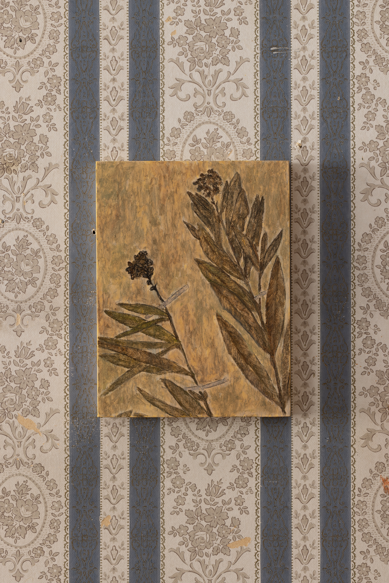 Pedro Liñares, Herbário