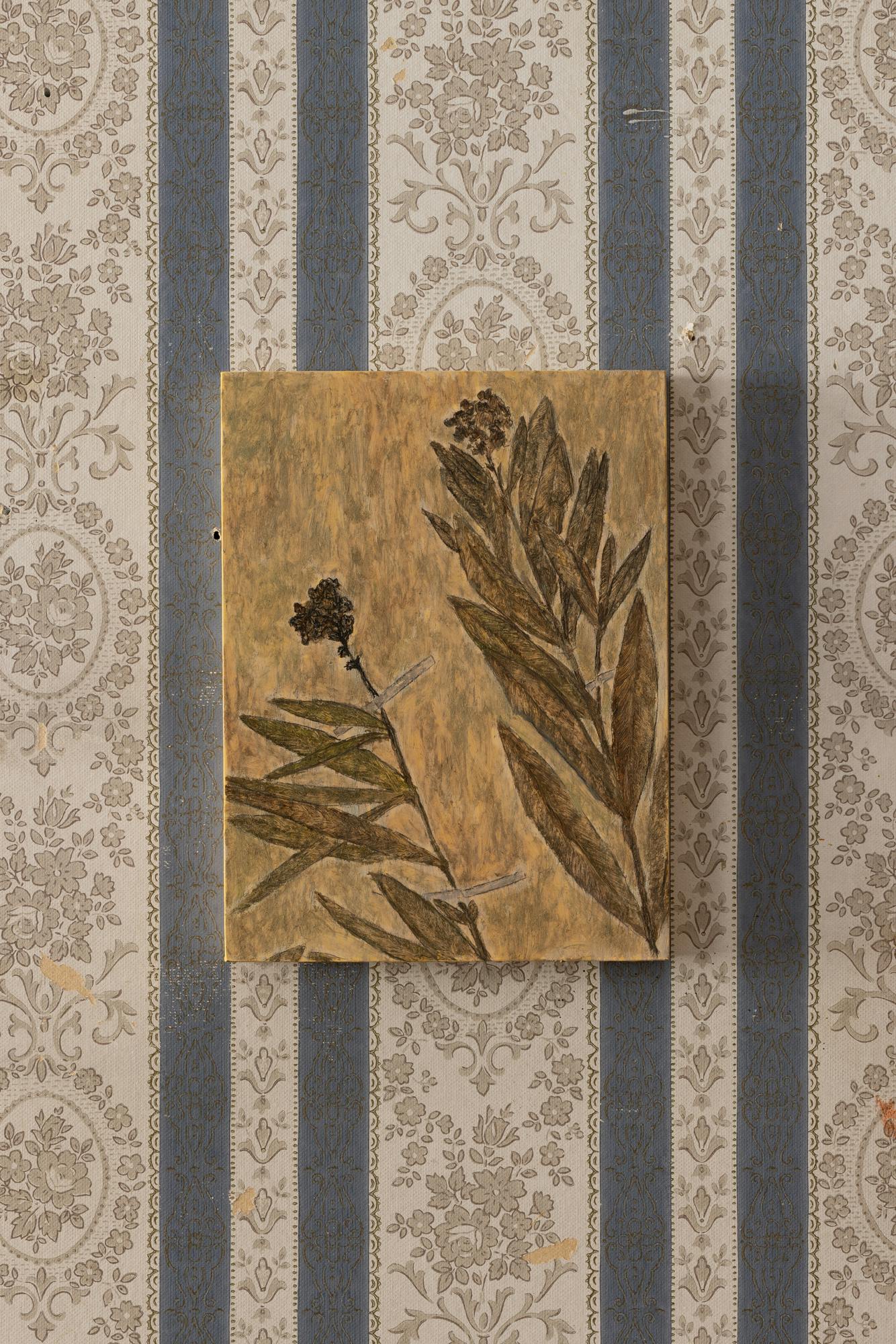 Pedro Liñares, Herbário