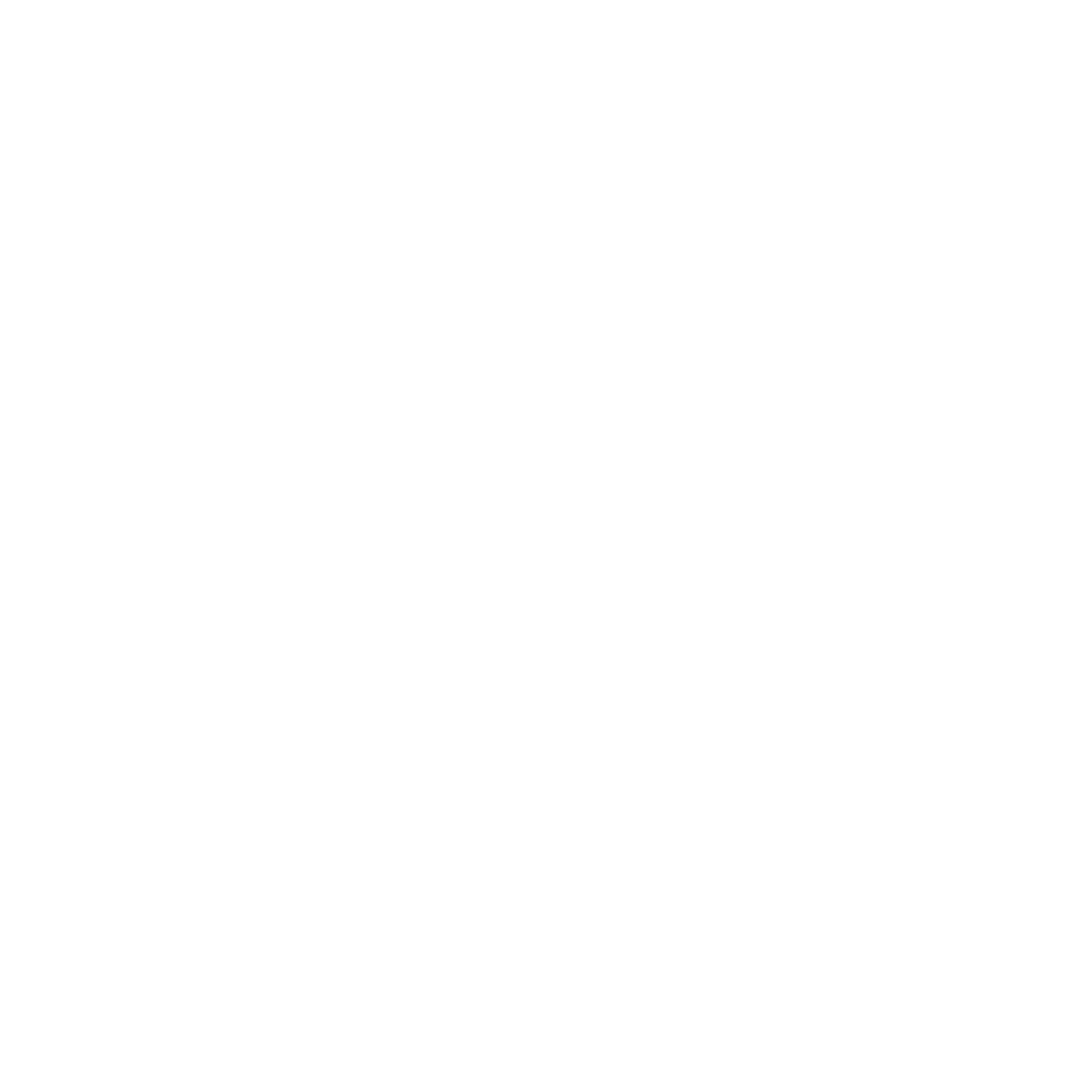 Social icon