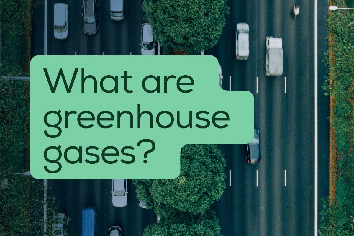 Vehicles drive down the highway, creating carbon dioxide, with the words "What are greenhouse gases?" on top of the image.