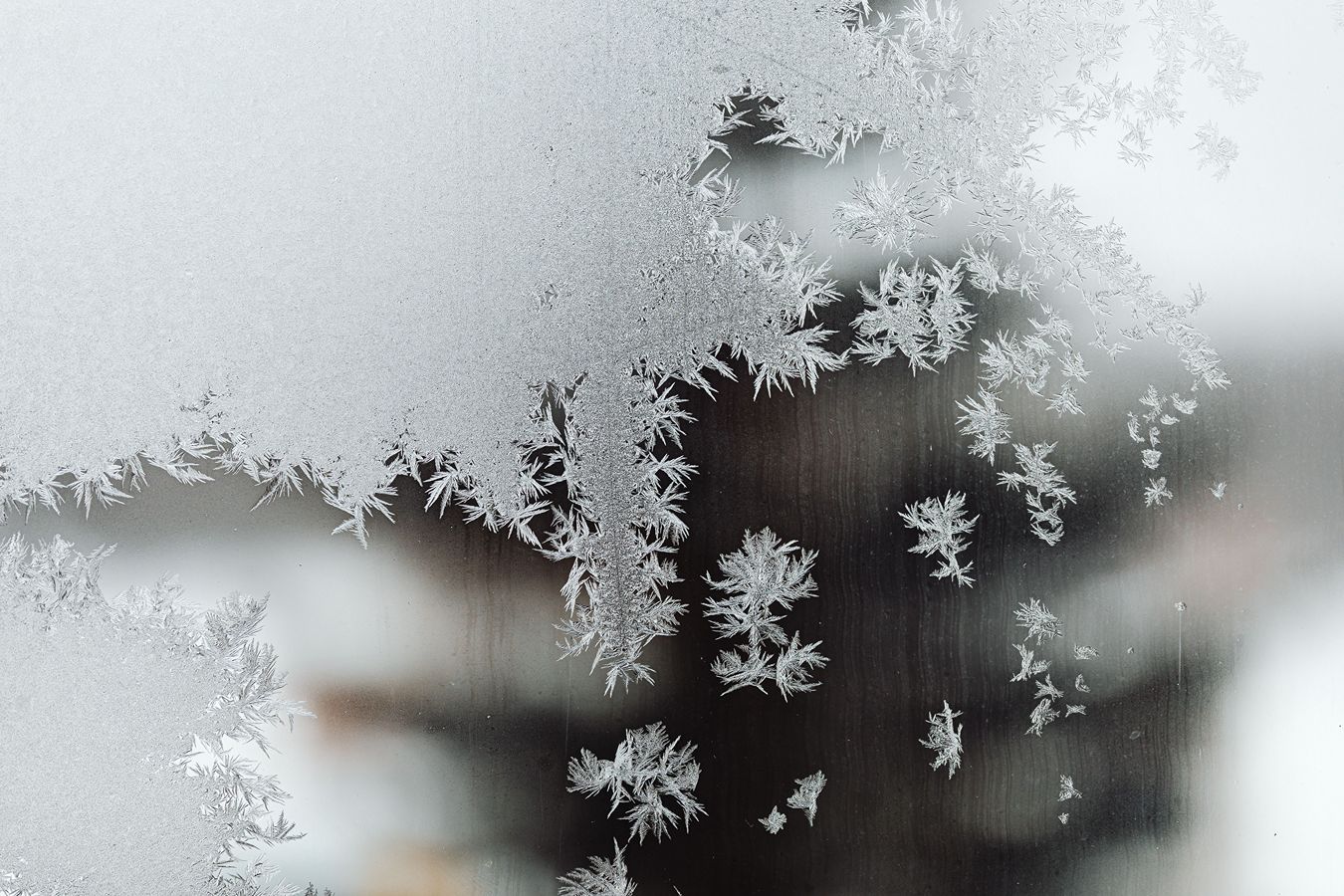 A window with frost crystals on it.