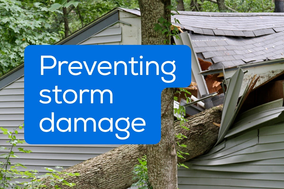 The words "Preventing Storm Damage" over an image of a home where a tree has fallen on the roof and caused significant damage, to represent the danger of global warming and climate change, and the tips a homeowner can follow to protect their home from storm damage.
