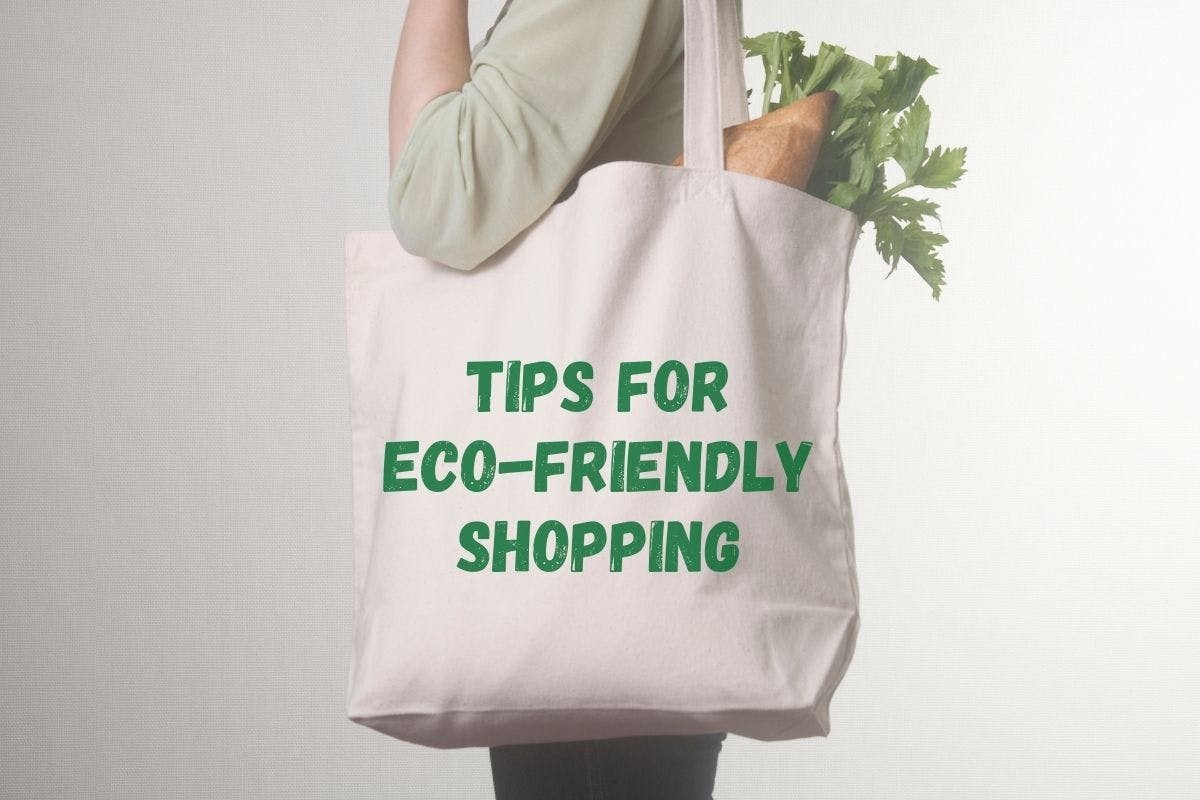 Person standing up with a canvas bag holding vegetables and featuring the words "Tips For Eco-Friendly Shopping" on the side.