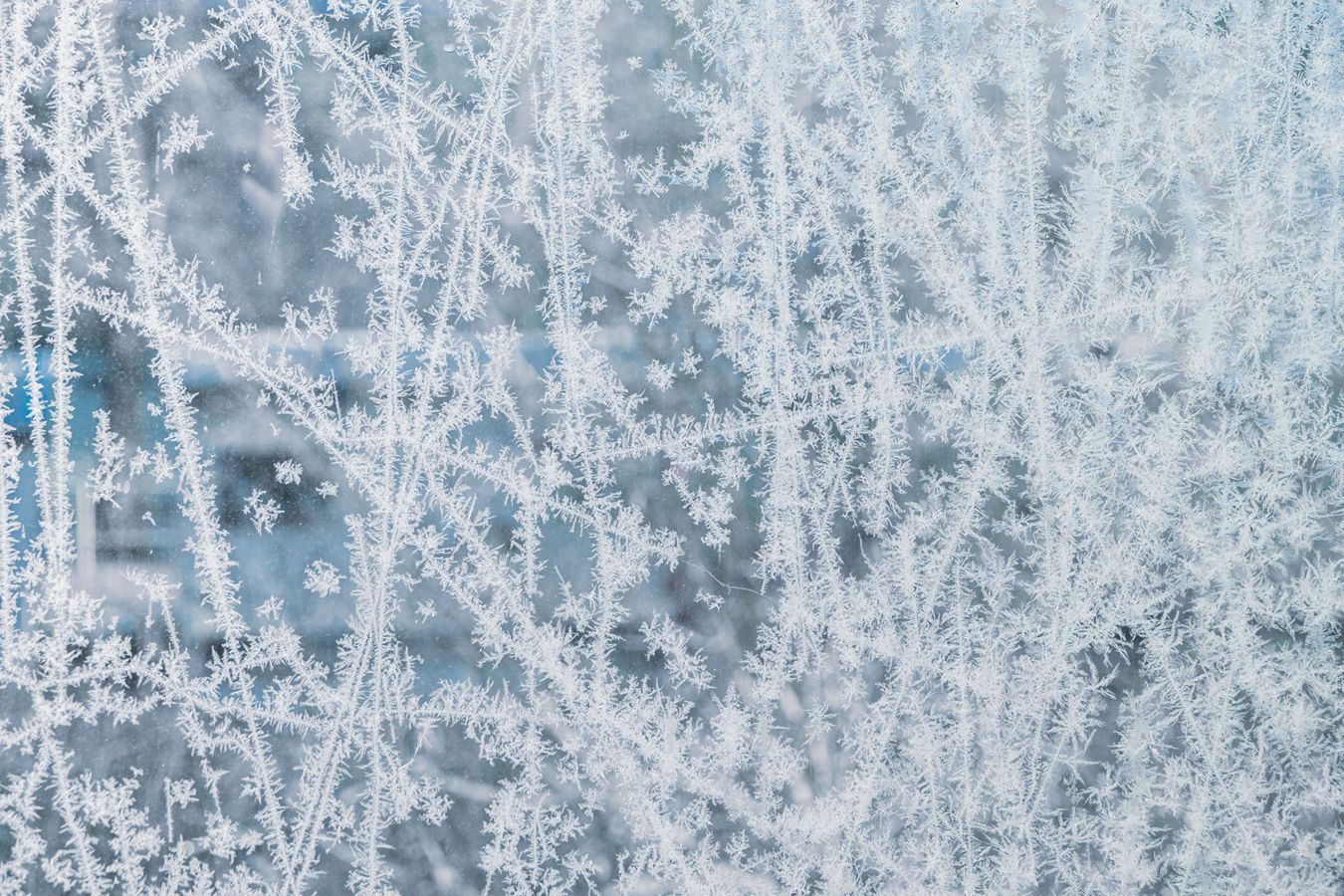 Icy windows.