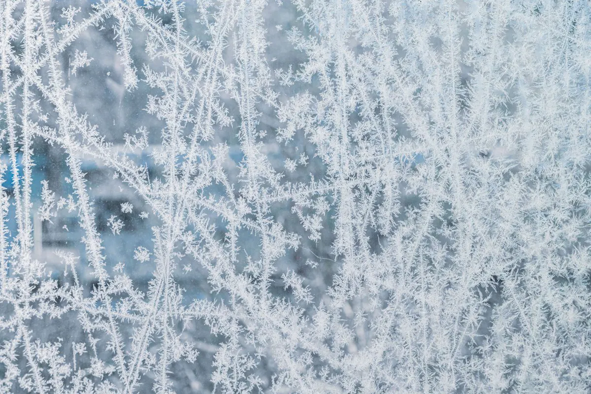 Icy windows.