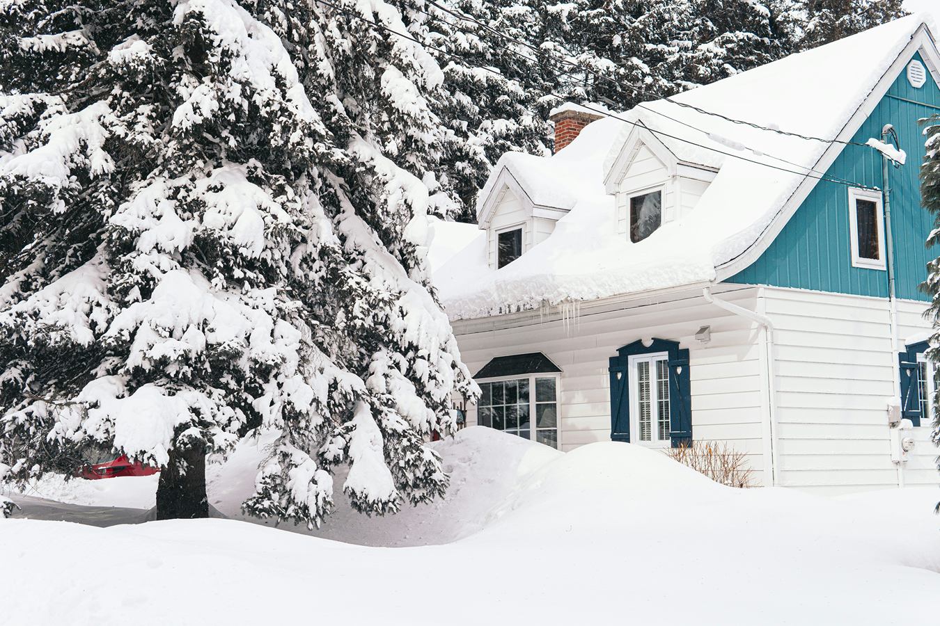 A house tucked among snowy evergreens.