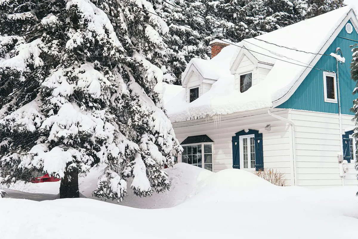 A house tucked among snowy evergreens.