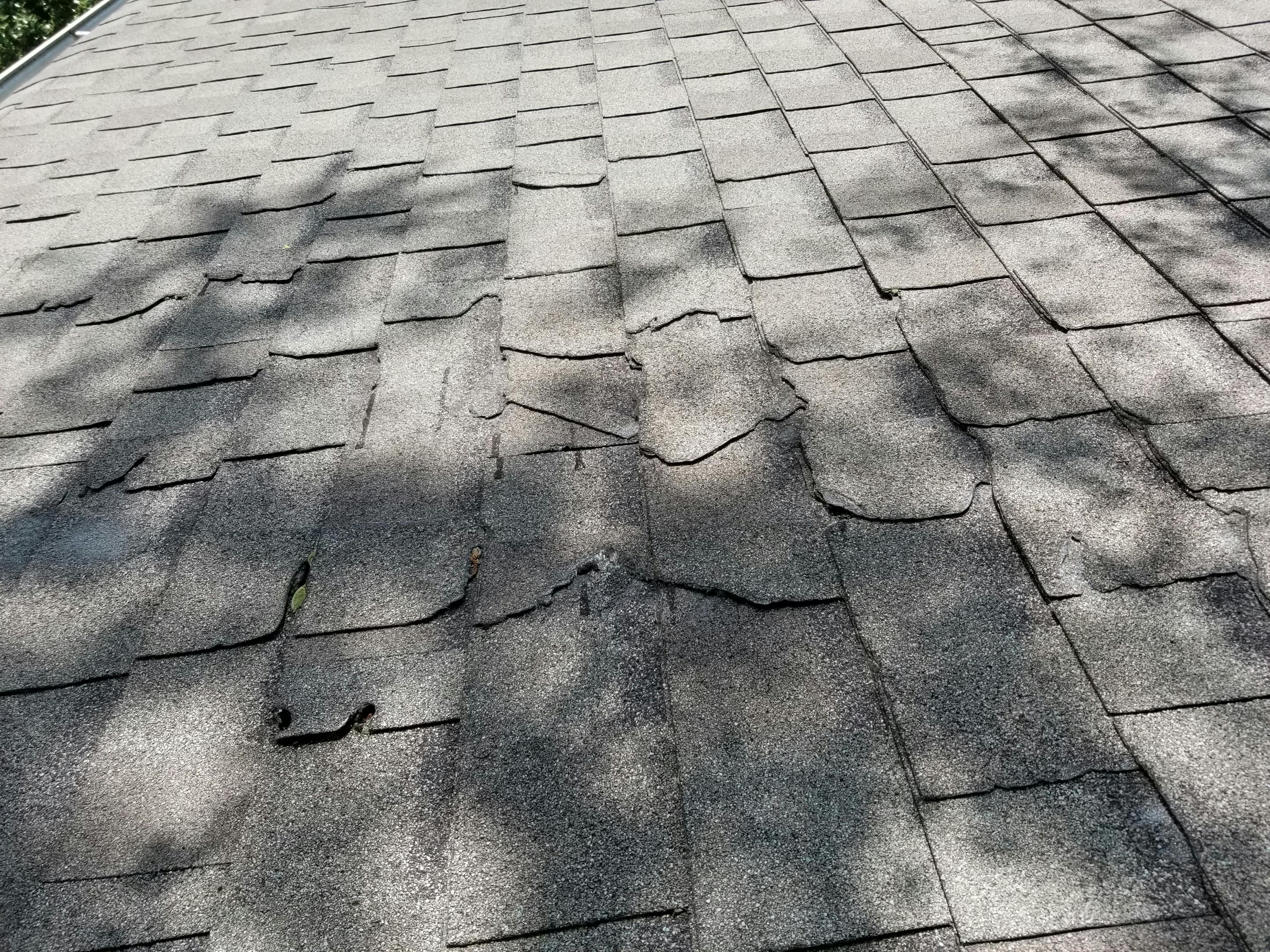 An asphalt shingle roof in need of replacing due to wear and tear
