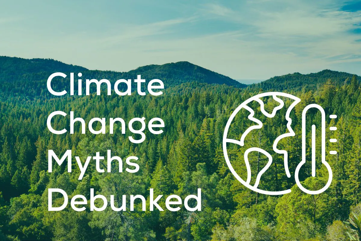 What Is Climate Change? (Definition, Causes, and Effects)