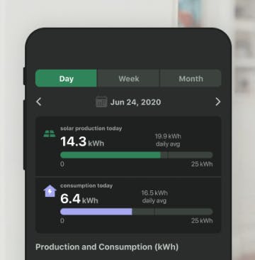 The Palmetto app showing solar production and energy consumption.