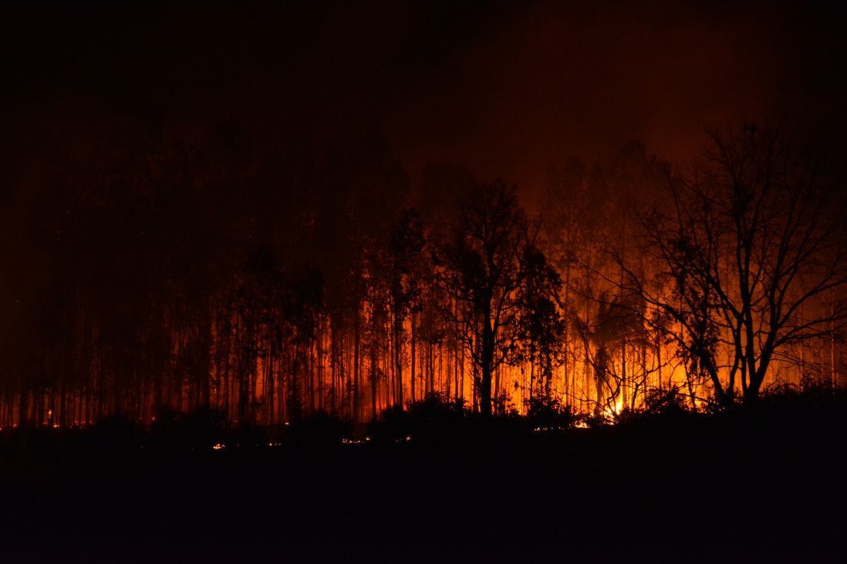 A wildfire at night.