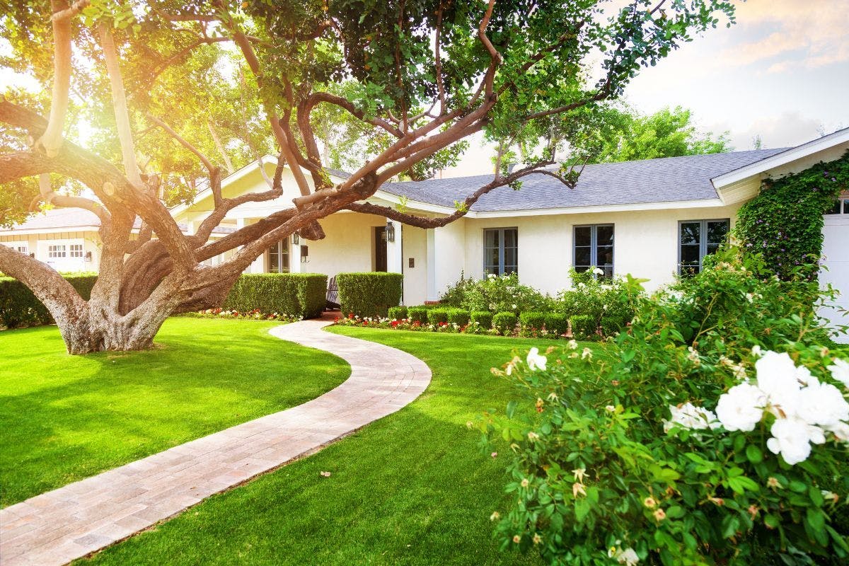 A home with a large tree and well-kept landscaping.