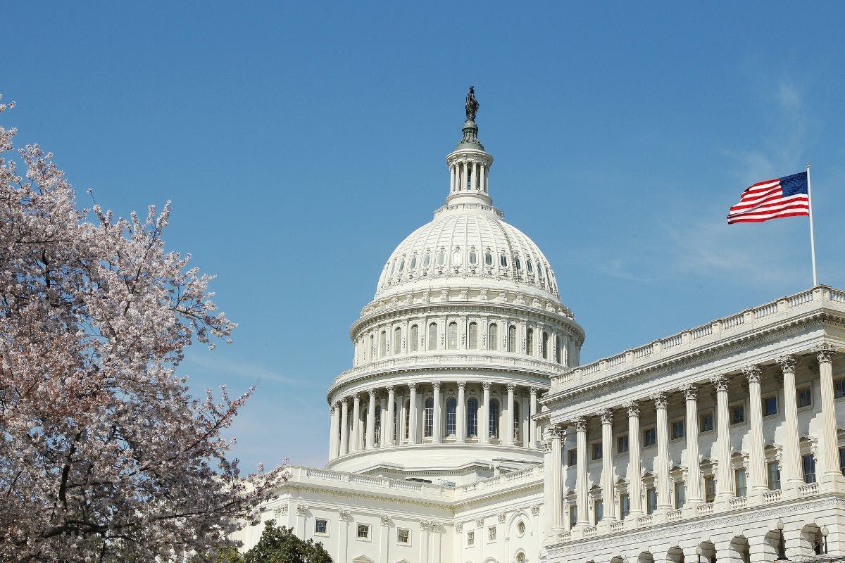 The US Capitol.