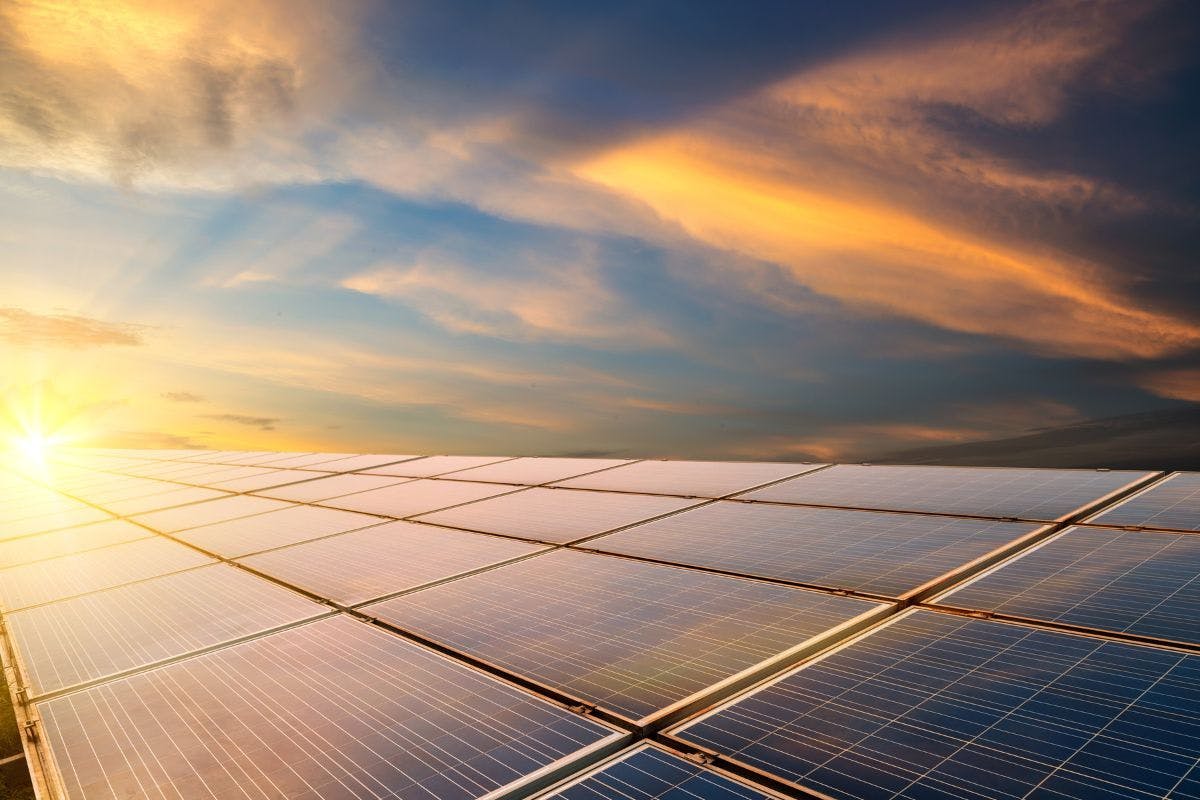 A large installation of solar panels.