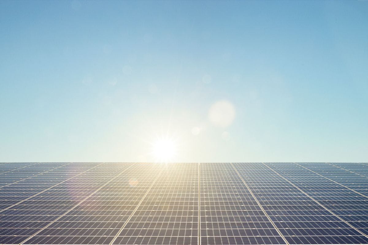 Solar panels with the sun shining down on them.