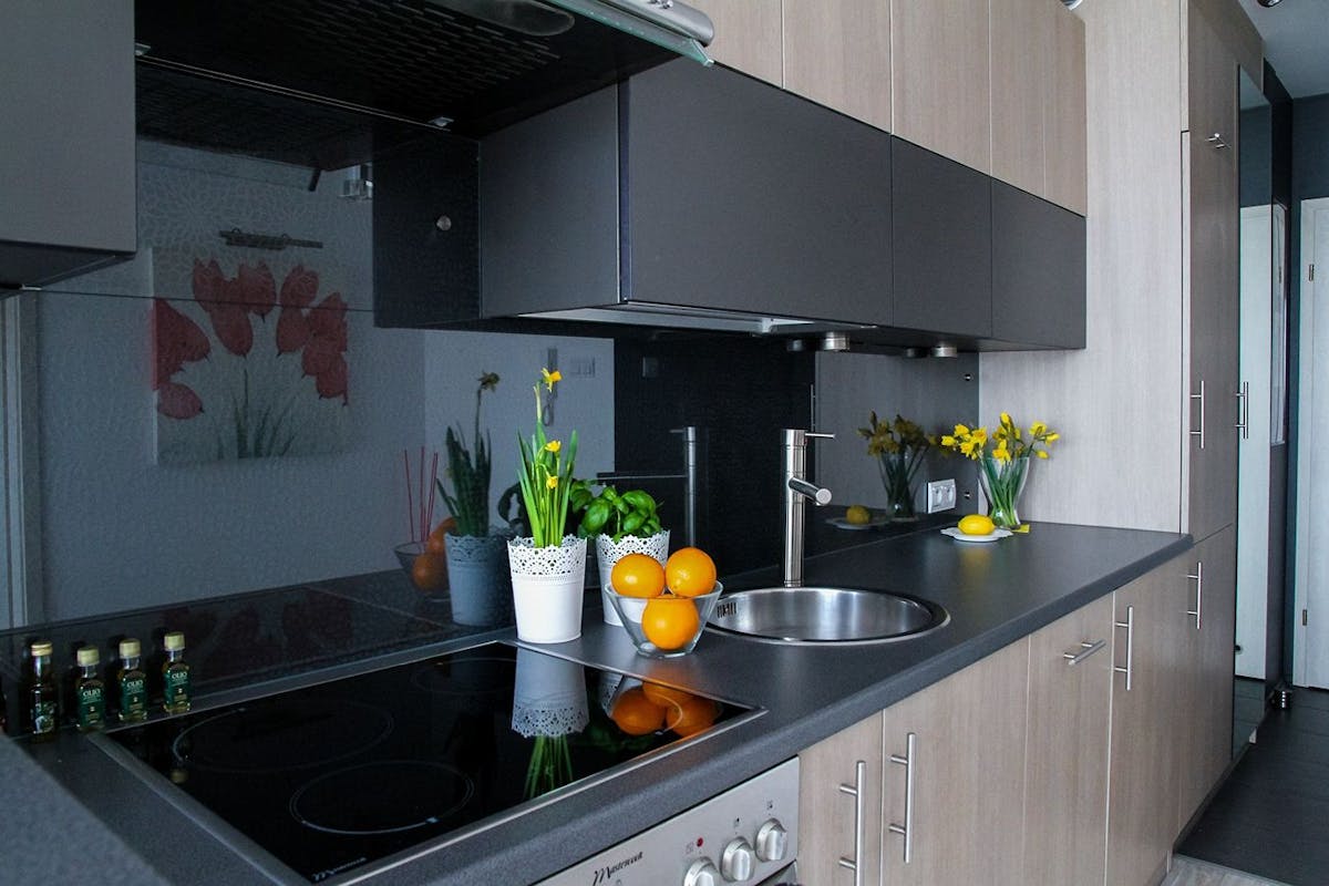 An electric cooktop and oven in a small kitchen.