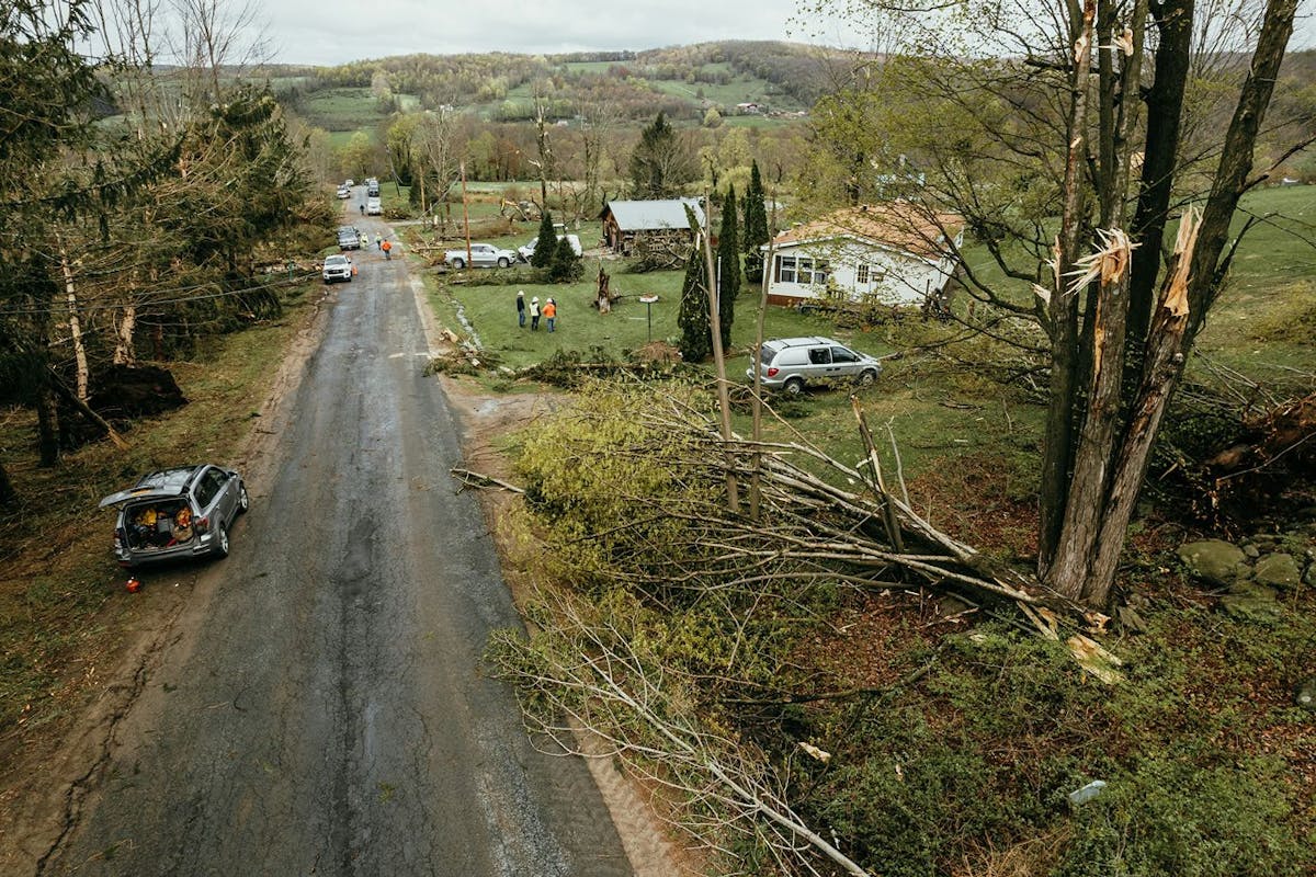Downed trees after a storm.