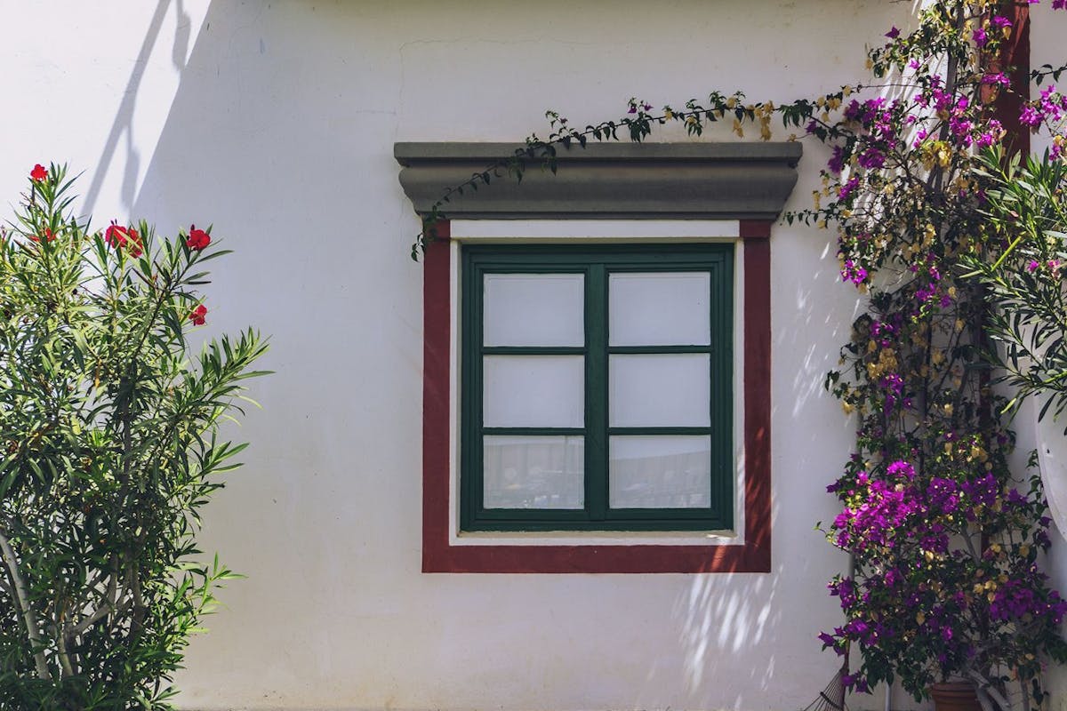 An exterior window with pink flowers growing on either side.
