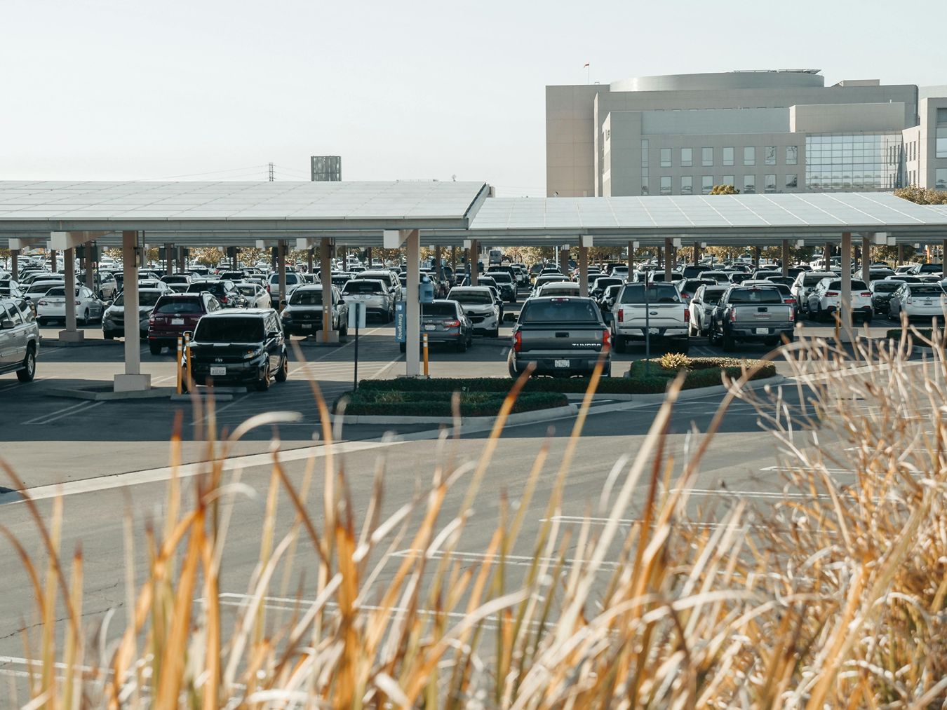 A parking lot with solar canopies in front of a large building in the sun.