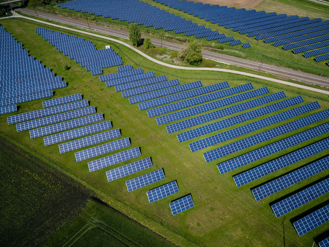 Blue solar panels in a green patch of land seen from above.