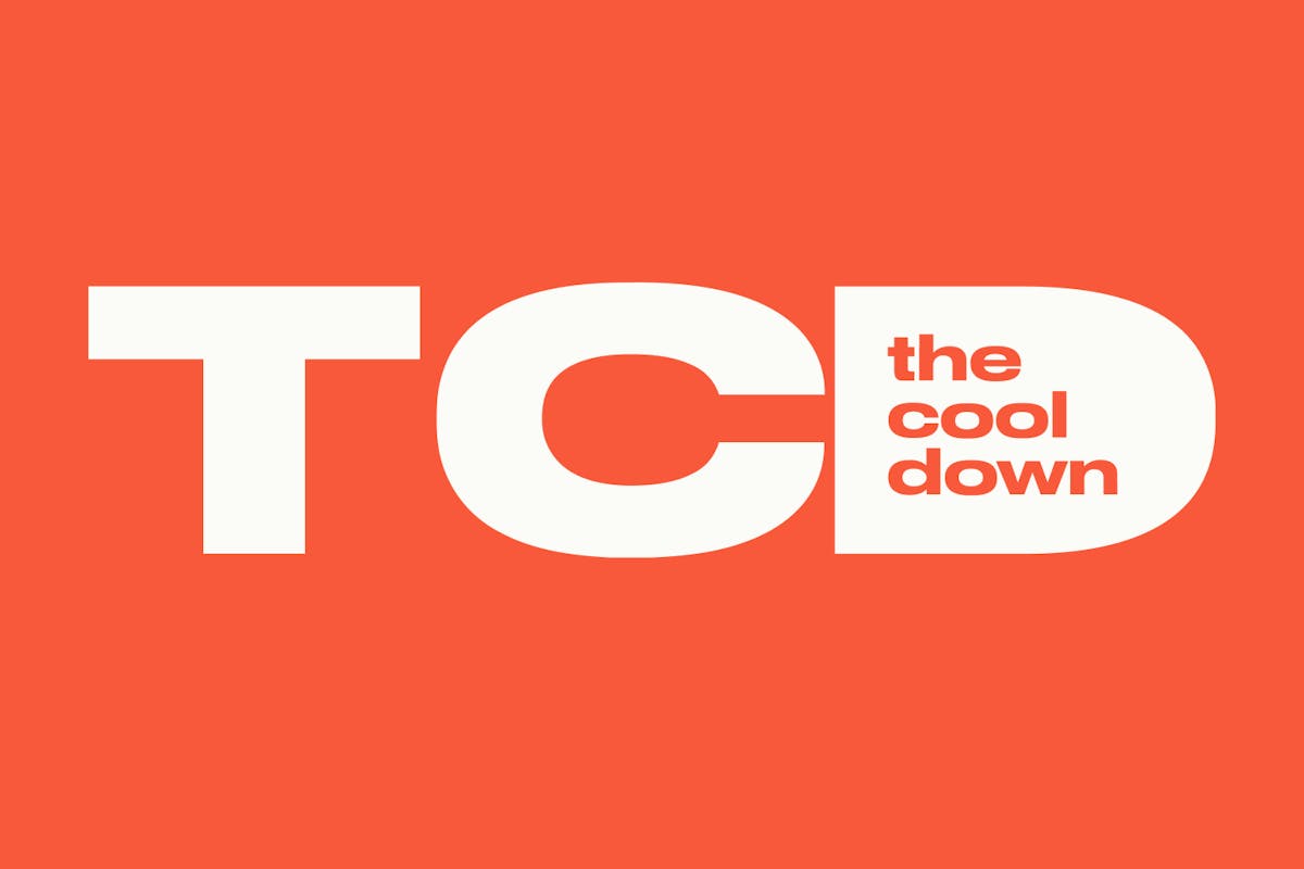 The Cool Down logo in Palmetto orange.