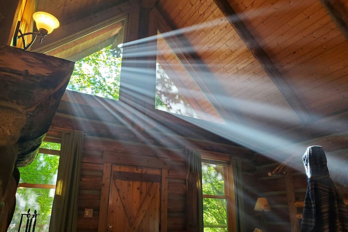 Warm sunlight acts like a natural infrared heater.