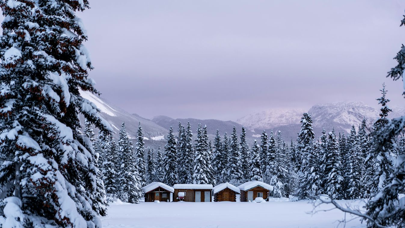 A house in a snowy woods.