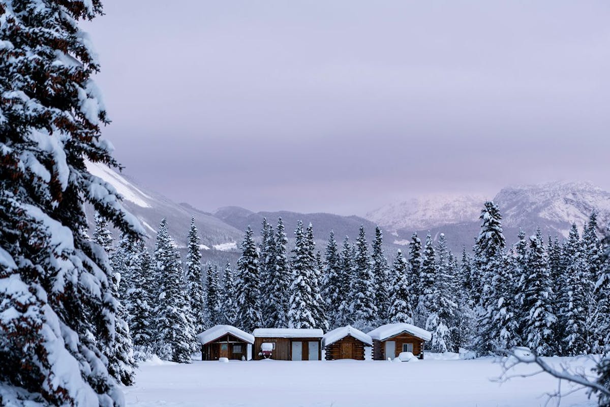 A house in a snowy woods.