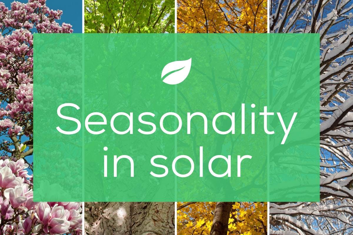 The words "Seasonality in solar" with four trees in the background depicting the four different seasons: Spring, summer, fall, and winter. 