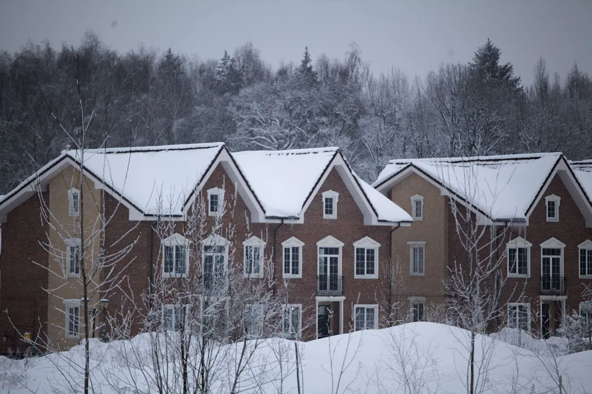 Houses covered in snow.