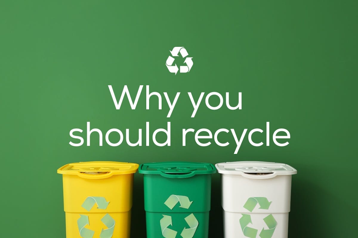 Waste management business ideas. The image displays a green background with the text "Why you should recycle" in white bold letters at the top. In the foreground, there are three recycling bins aligned horizontally: one yellow, one green, and one white. Each bin has the recycling symbol – three chasing arrows forming a triangle – on its front. The bins and the text are presented as a promotional or educational message emphasizing the importance of recycling.