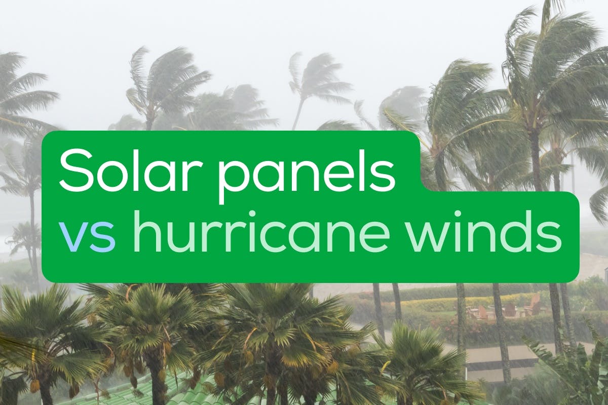 The words "Solar Panels vs Hurricane Winds" over an image of palm trees being blown over by a strong storm, representing how solar installers help with hurricane preparedness, tips for hurricane protection, and what to do after a storm.