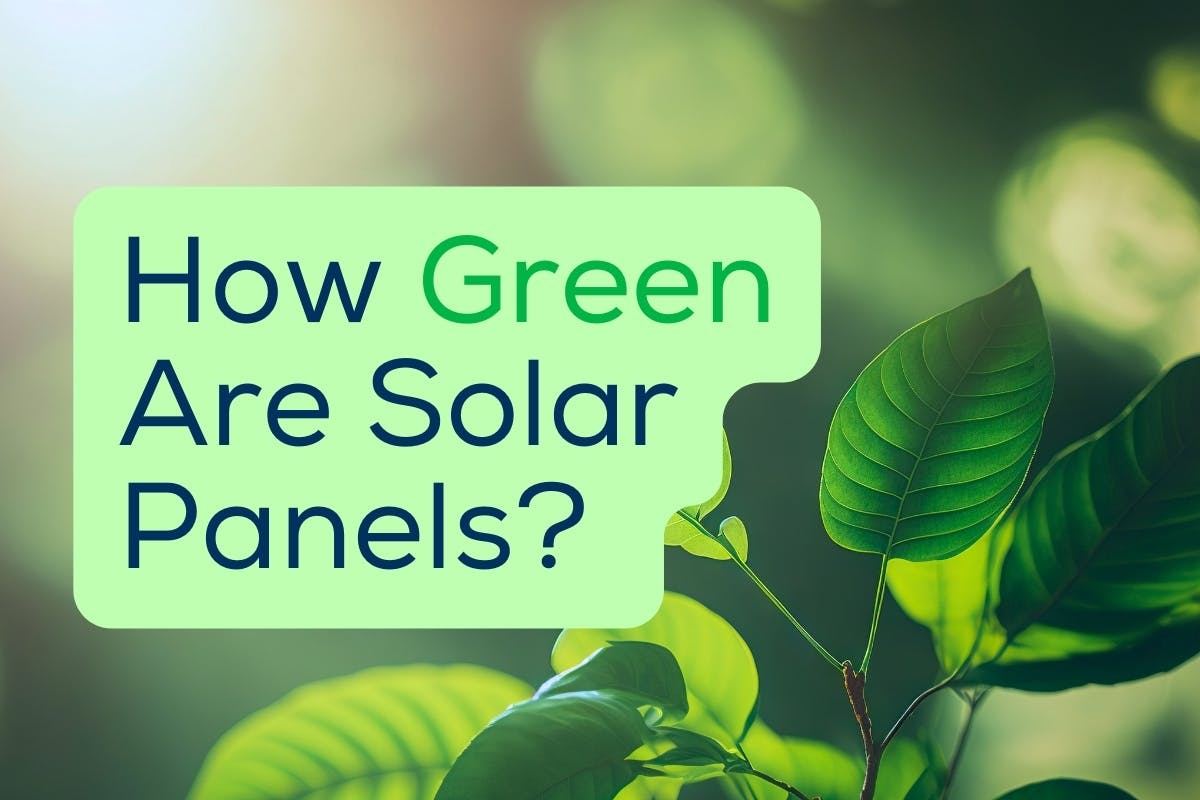 The words "How Green Are Solar Panels?" over an image of a green plant, representing what it means to be green, how green solar panels actually are, and the impact of solar power on the environment and your carbon footprint.