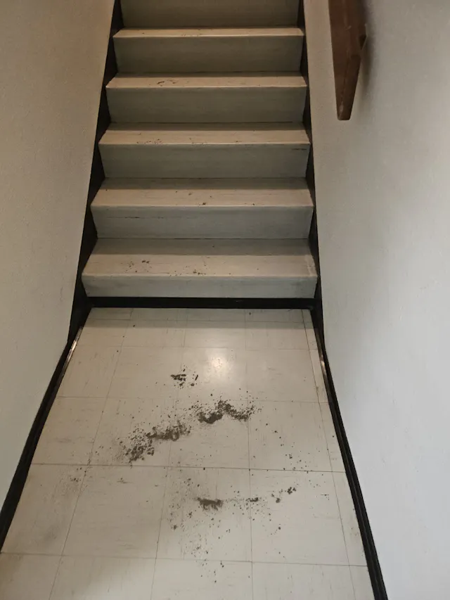 Treppenhaus schmutz vorher Bild