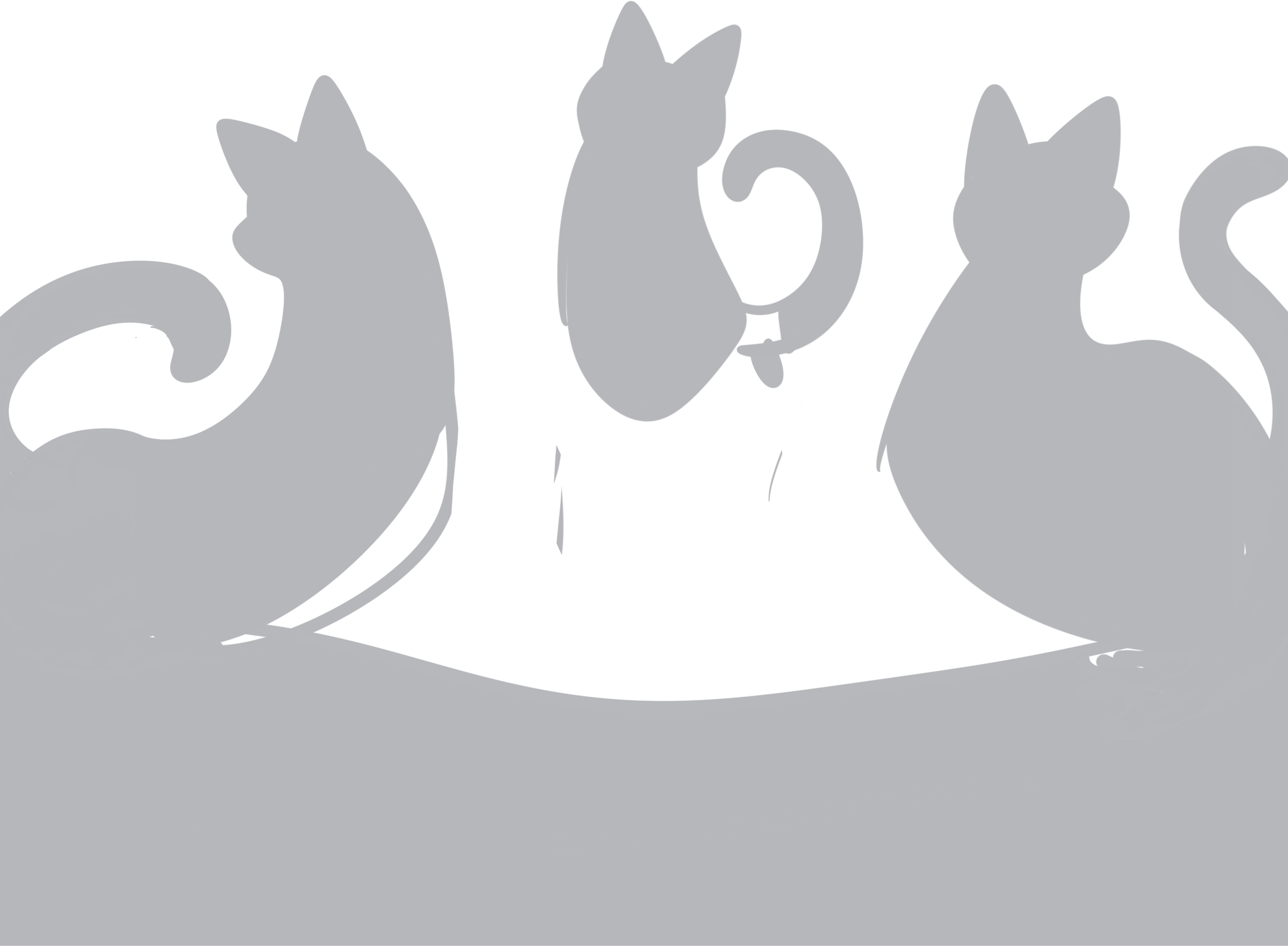 background-cat