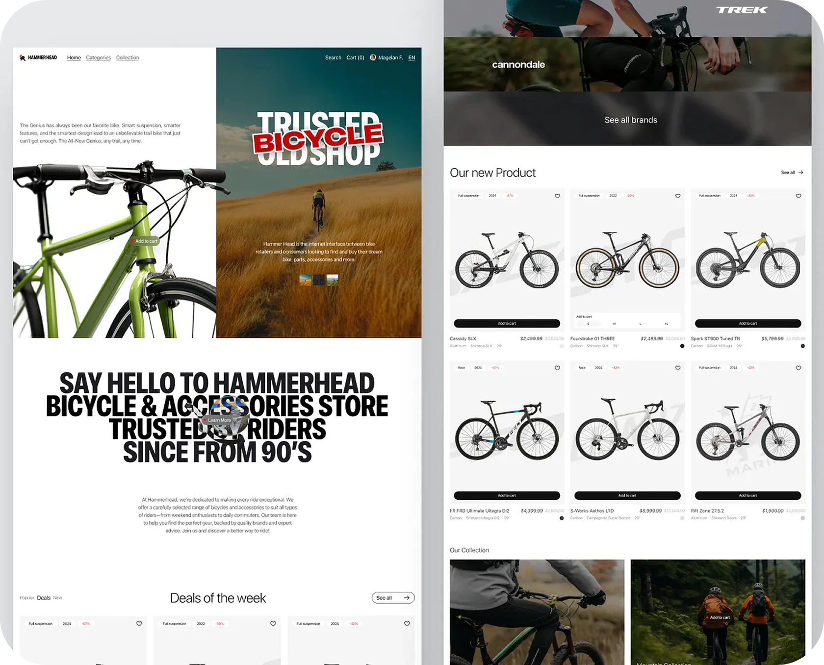 hammerhead--d2c-website