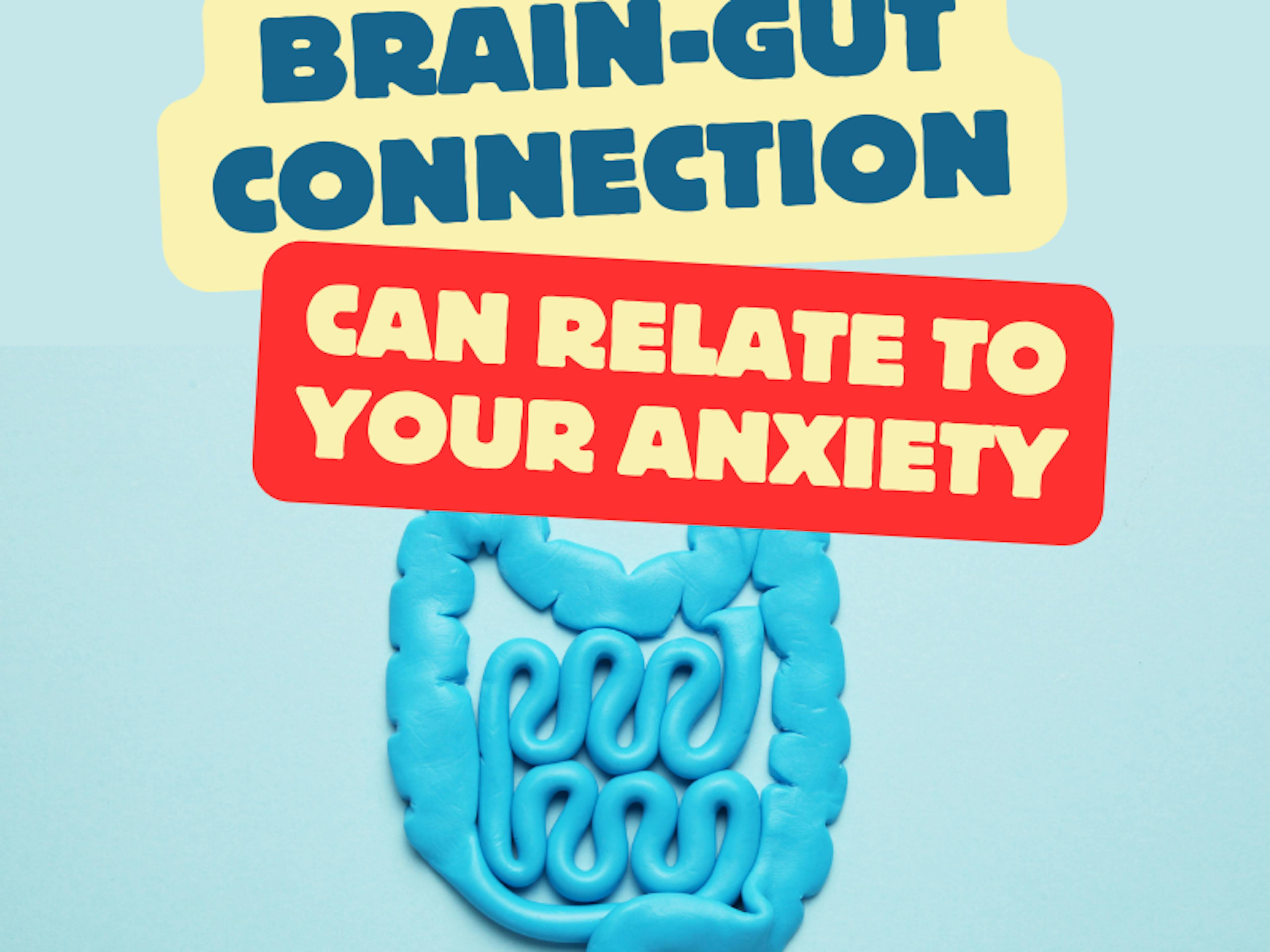 The Brain-Gut Connection and Its Relation to Anxiety