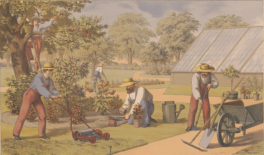 18th century gardening image of men
