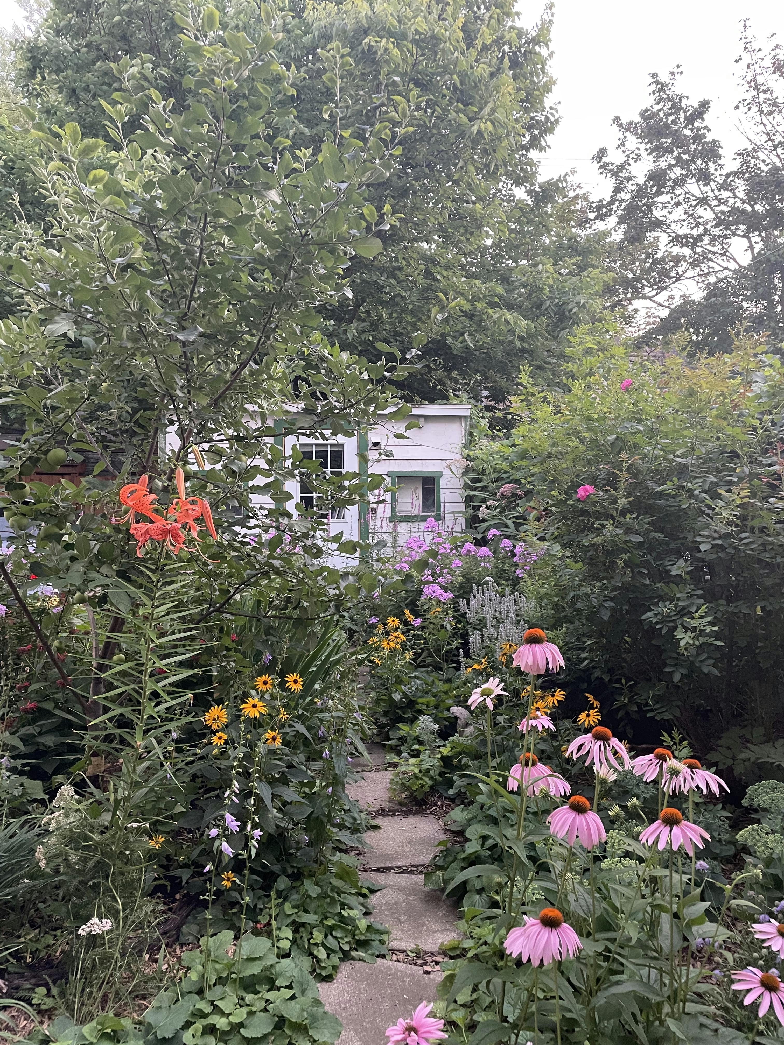 lush garden with flowers