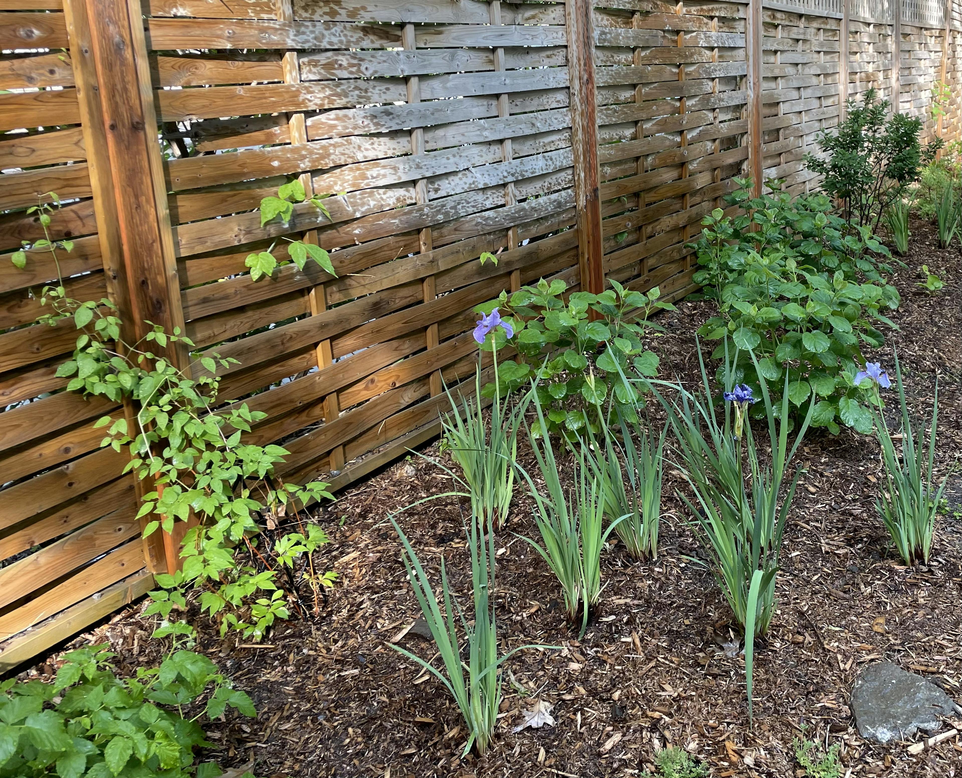 Garden design with wood pellets and green plants
