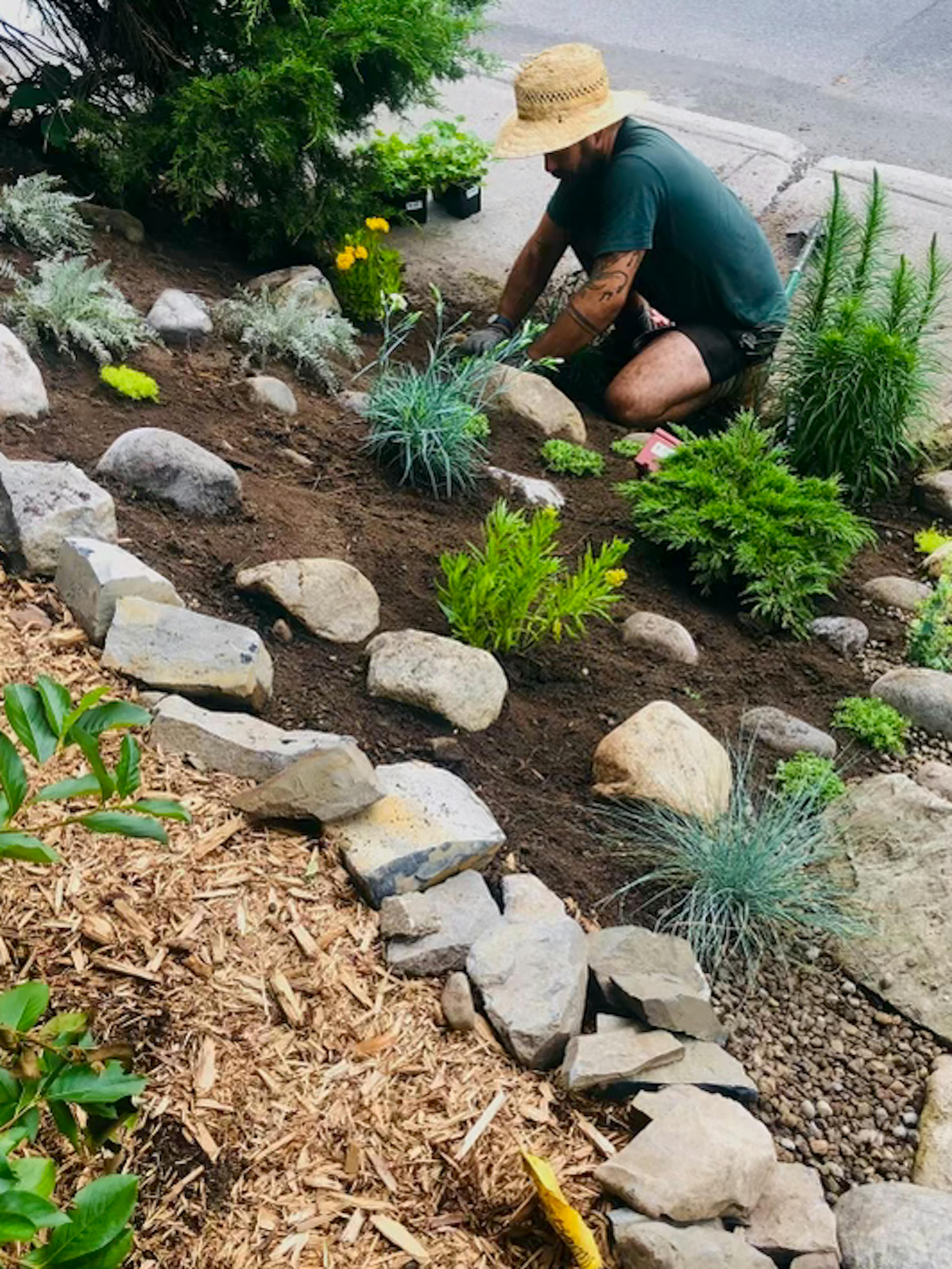 Rock garden on a slope with stone border, ornamental grasses, and drought-tolerant plants.